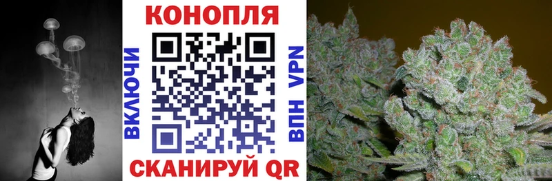 Канабис сатива Кыштым