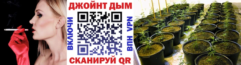 Каннабис MAZAR  Кыштым 